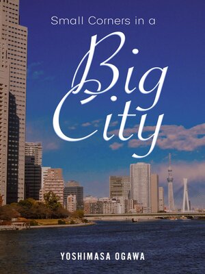 cover image of Small Corners in a Big City